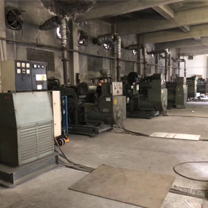 新疆發電機能夠呈現哪些主要特性？